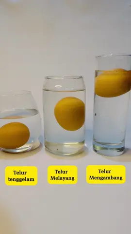 ᴇᴋꜱᴘᴇʀɪᴍᴇɴᴛ ᴛᴇʟᴜʀ ᴍᴇɴɢᴀᴘᴜɴɢ 𝙺𝚎𝚗𝚊𝚙𝚊 𝚢𝚊 𝚝𝚎𝚕𝚞𝚛 𝚋𝚒𝚜𝚊 𝚖𝚎𝚗𝚐𝚊𝚙𝚞𝚗𝚐❓ 𝐁𝐞𝐠𝐢𝐧𝐢 𝐩𝐞𝐧𝐣𝐞𝐥𝐚𝐬𝐚𝐧𝐧𝐲𝐚💡 🔆𝙼𝚎𝚗𝚊𝚖𝚋𝚊𝚑𝚔𝚊𝚗 𝚐𝚊𝚛𝚊𝚖 𝚍𝚎𝚗𝚐𝚊𝚗 𝚔𝚊𝚍𝚊𝚛 𝚢𝚊𝚗𝚐 𝚝𝚒𝚗𝚐𝚐𝚒 𝚔𝚎𝚍𝚊𝚕𝚊𝚖 𝚊𝚒𝚛, 𝚊𝚔𝚊𝚗 𝚖𝚎𝚗𝚒𝚗𝚐𝚔𝚊𝚝𝚔𝚊𝚗 𝚖𝚊𝚜𝚜𝚊 𝚓𝚎𝚗𝚒𝚜 𝚊𝚒𝚛 🔆𝚃𝚎𝚕𝚞𝚛 𝚖𝚎𝚗𝚐𝚊𝚙𝚞𝚗𝚐 𝚔𝚊𝚛𝚎𝚗𝚊 𝚖𝚊𝚜𝚜𝚊 𝚓𝚎𝚗𝚒𝚜 𝚗𝚢𝚊 𝚕𝚎𝚋𝚒𝚑 𝚔𝚎𝚌𝚒𝚕 𝚍𝚊𝚛𝚒𝚙𝚊𝚍𝚊 𝚖𝚊𝚜𝚜𝚊 𝚓𝚎𝚗𝚒𝚜 𝚌𝚊𝚒𝚛𝚊𝚗 𝚝𝚎𝚖𝚙𝚊𝚝𝚗𝚢𝚊 𝚋𝚎𝚛𝚊𝚍𝚊. 🔆𝙺𝚊𝚛𝚎𝚗𝚊 𝚒𝚝𝚞𝚕𝚊𝚑 𝚊𝚒𝚛 𝚢𝚊𝚗𝚐 𝚖𝚎𝚗𝚐𝚊𝚗𝚍𝚞𝚗𝚐 𝚐𝚊𝚛𝚊𝚖 𝚌𝚞𝚔𝚞𝚙 𝚋𝚊𝚗𝚢𝚊𝚔 𝚖𝚊𝚖𝚙𝚞 𝚖𝚎𝚗𝚐𝚊𝚙𝚞𝚗𝚐𝚔𝚊𝚗 𝚝𝚎𝚕𝚞𝚛 𝚢𝚊𝚗𝚐 𝚊𝚔𝚊𝚗 𝚝𝚎𝚗𝚐𝚐𝚎𝚕𝚊𝚖 𝚋𝚒𝚕𝚊 𝚍𝚒𝚌𝚎𝚕𝚞𝚙𝚔𝚊𝚗 𝚔𝚎𝚍𝚊𝚕𝚊𝚖 𝚊𝚒𝚛 𝚝𝚊𝚗𝚙𝚊 𝚐𝚊𝚛𝚊𝚖. 📌𝐉𝐚𝐝𝐢 𝐩𝐚𝐡𝐚𝐦 𝐲𝐚 𝐬𝐞𝐤𝐚𝐫𝐚𝐧𝐠, 𝐤𝐞𝐧𝐚𝐩𝐚 𝐨𝐫𝐚𝐧𝐠 𝐛𝐢𝐬𝐚 𝐦𝐞𝐧𝐠𝐚𝐦𝐛𝐚𝐧𝐠 𝐬𝐞𝐧𝐝𝐢𝐫𝐢 𝐝𝐢𝐥𝐚𝐮𝐭 𝐦𝐚𝐭𝐢 𝐩𝐚𝐝𝐚𝐡𝐚𝐥 𝐝𝐢𝐚 𝐠𝐚𝐤 𝐛𝐢𝐬𝐚 𝐛𝐞𝐫𝐞𝐧𝐚𝐧𝐠 🤭 𝐓𝐞𝐫𝐧𝐲𝐚𝐭𝐚 𝐤𝐚𝐝𝐚𝐫 𝐠𝐚𝐫𝐚𝐦 𝐲𝐚𝐧𝐠 𝐭𝐢𝐧𝐠𝐠𝐢 𝐝𝐢𝐬𝐚𝐧𝐚 𝐲𝐚𝐧𝐠 𝐛𝐢𝐤𝐢𝐧 𝐛𝐞𝐠𝐢𝐭𝐮. #fypシ #fypシ゚viral #4u #foryourpage 