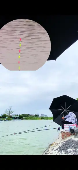 Hồ 1995 —1000 đen , xoay cầu giới hạn 17m , nước sạch #docaucoye #cancaudai 