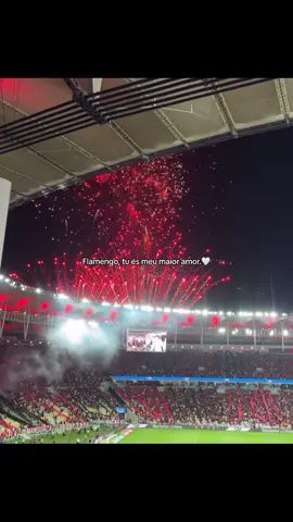 #viral #foryou #fyp #flamengo #crf #flamengosempre 