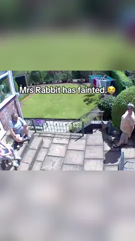 😭😭 #funny #funnyvideos #meme 