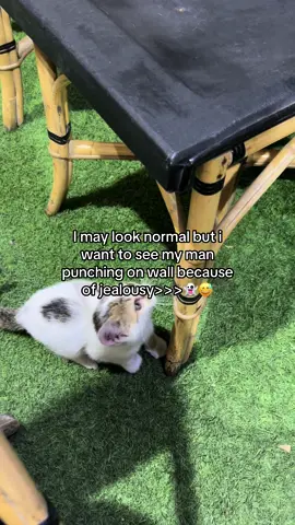 👻#fyp #mentionyourlove #hseham #Love 