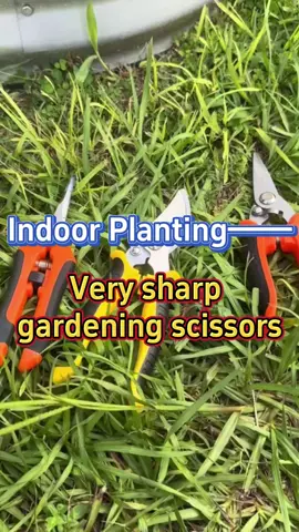 #garden #gardening #gardeningtips #plants #planting #plant #homegarden #houseplants #gardentools #indoorplants #indoorgarden 