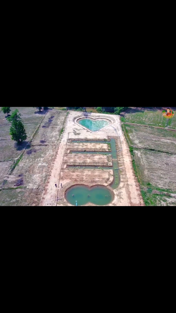 เปลี่ยนที่นาธรรมดาๆมาเป็นโคกหนองนาสวยๆ #โคกหนองนา #โคกหนองนาโมเดล 