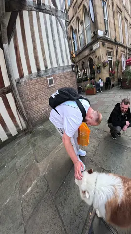 Interactions with my dog!! Full video on youtube!! #husky #dogsoftiktok #fyp #travel #dogoftheday #foryoupage #fypp 