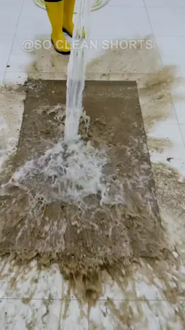 Satisfying dirty carpet cleaning ASMR video  #foamscraping #rugwashing #carpetcleaning #satisfying #asmr #cleaning #carpet 