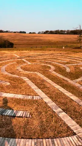 Designed and completed by VTP #southafricantrucks #SATrucks #MANTrucks #trucksoftiktok #tiktoksa #truckerslife #truckerslove #truckerssa #trucklife #southafricantiktok #lowbed #cartage #construction #earthworks #durban #VIP #typ #VIP #hillcrest #shongweni #truckshow #trucklifestyle#CapCut 