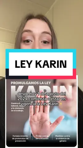 Ley karin #leykarin #enfermeria 