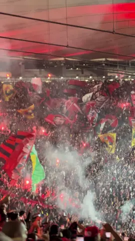 E o mundial vocês nunca vão ter 🐷  #flamengo #copadobrasil #maracana #riodejaneiro 