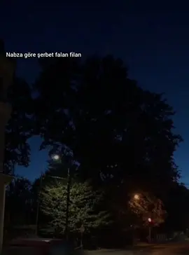 Bu şarkı >>>#nabzagöreşerbet #iremderici #şarkı #bpwkpp #fypシ゚viral #müzik #fyp #viral #kırıkkalp #fypシ 