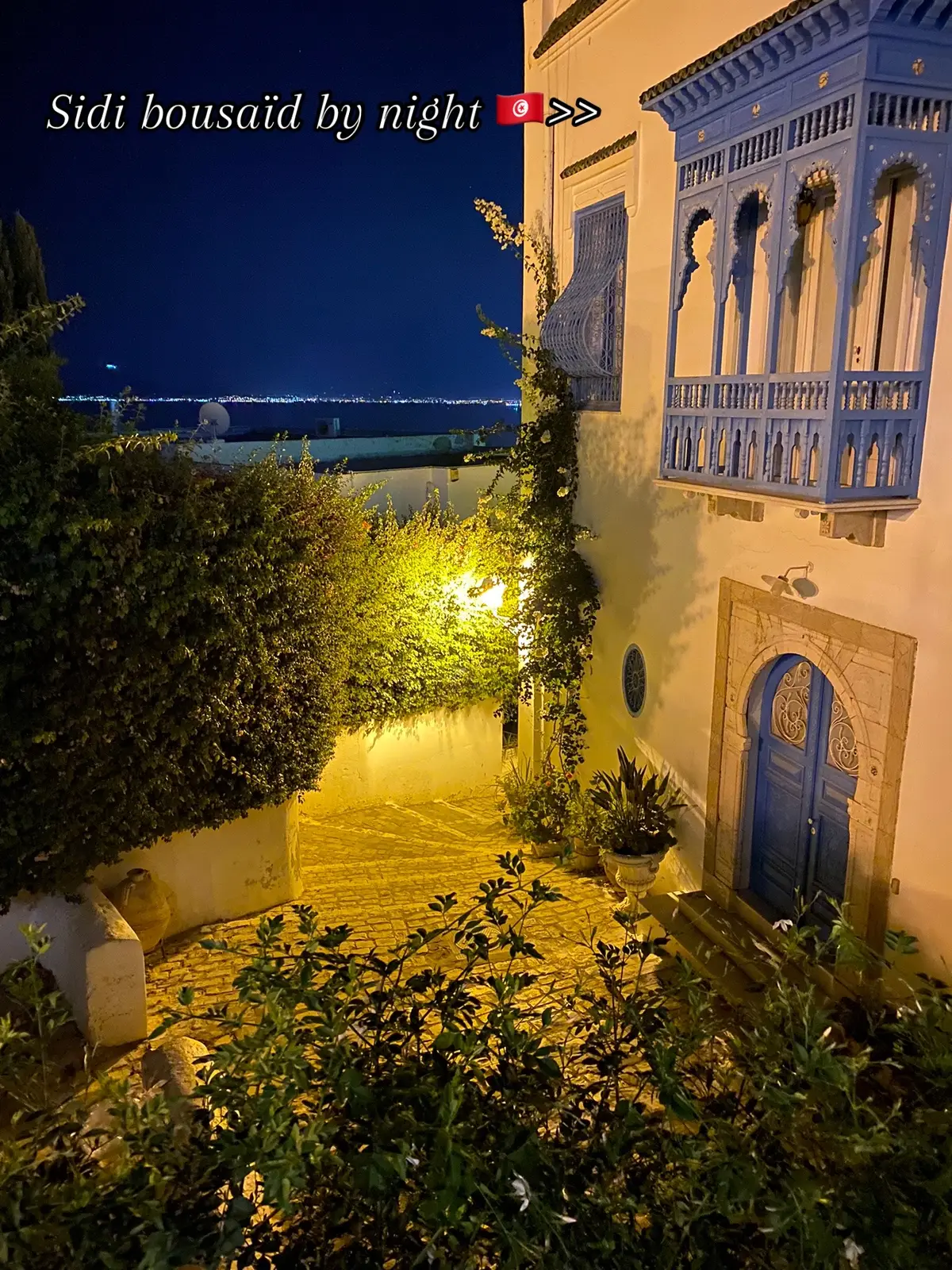 🇹🇳🇹🇳❤️ …  #fyp #tunisia #summernights #sidibousaid 