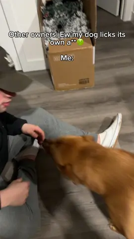 My dog licking the inside of my mouth. Would you do this with your 🐶?  #comedy #entertainment #funny #explorepage #fyp #viral #dog #dogsofinstagram #doglover 