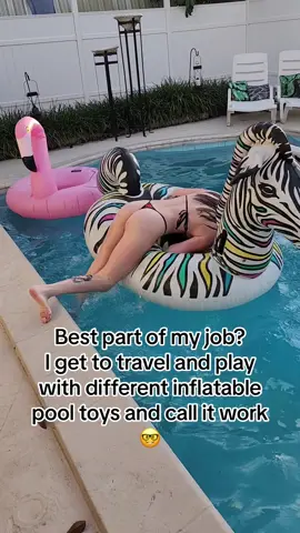 Its all deductible too🤓 i love my life 