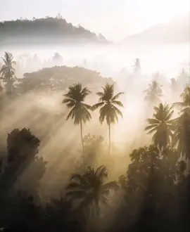 🌊🌴 #sadeness #beachvibes #beach #girls #travel #inspo #aesthetic #inspiration #fashion #pinterest #repost #photo #foryoupage #viral #fyp #Lifestyle 