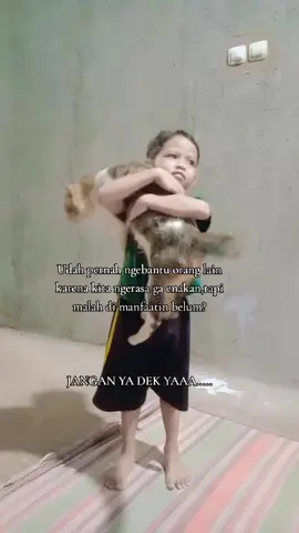 #catlover 