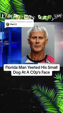 Replying to @Florida Man #floridaman #caughtoncamera #part2 