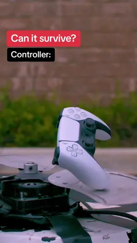 What can survive a fan? 🤔 #slowmo #satisfying 