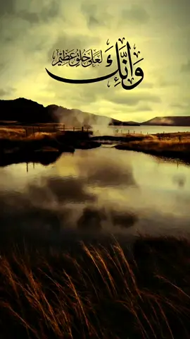 #القارئ_محمد_الفقيه 