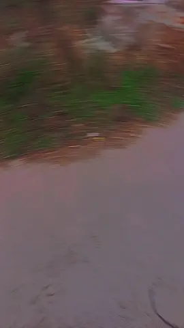 #vueltaacasa así todos los días 😚🤭😍#humor #juegos #viraltiktok #viralvideo 