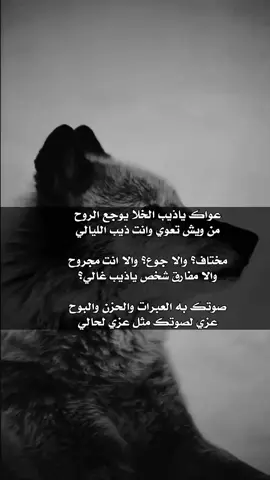 عواك ياذيب الخلا #هواجيس #حزينه #حالات_واتس 