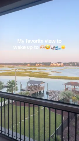 Happy first day of August to all who celebrate! ⛱️🐚🌊☀️👙🫶🏼 #Summer #eastcoast #eastcoastlifestyle #eastcoastsummer #foryou #foryoupage #paradise #fyppppppppppppppppppppppp #fypシ゚viral #fypage #beach #beachvibes #taylorswift #taylorsversion #taylornation 