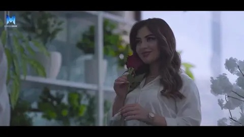Snor Yasa keniya Te . #kurdistan #trend #fyp #viral 