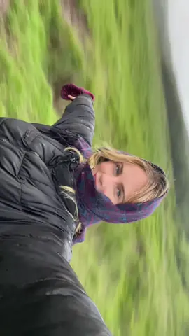 🌱🍃🌿🌱🍃#fyp 