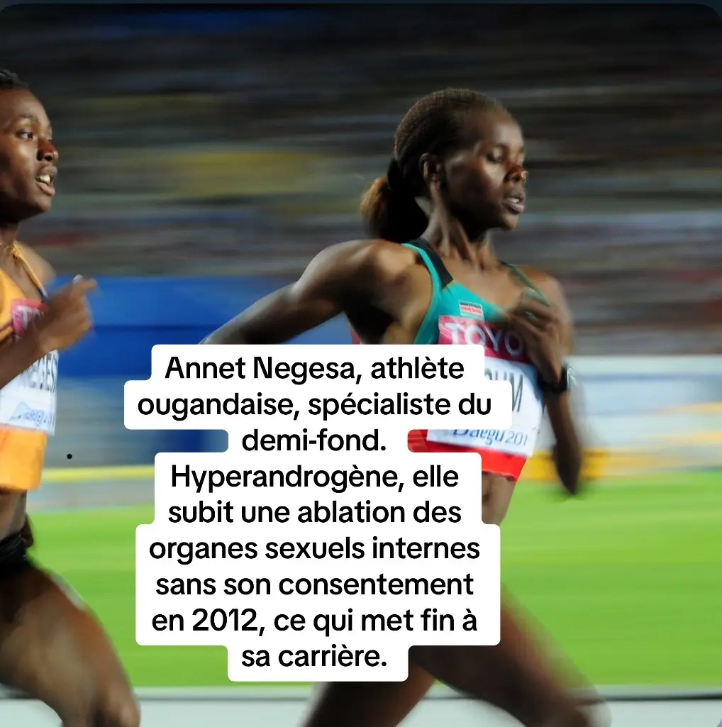 Documentaire arte déjà conseillé dans ma sélection d’il y’a 3 semaines, à l’aube des JO sans me douter qu’en 2024 une nouvelle femme se verrait questionner son genre car trop puissante.  À voir et revoir afin de réaliser que le sport féminin est contrôlé par une industrie masculine et raciste ! Courage à Imane Khlife🇩🇿 #histoire #History #racism #colonisation #concours #cultureg #culturegenerale #fyp #medecine #foryou #pourtoi #4u #sport #europa #europe #afrique #sciencepo #hypokhagne #africa #prof #ens #arte #paris #jo #sedecoloniser #apprendresurtiktok #olympics #feminism #documentary #documentaire #arte #patriarchy #feminisme #femme #women #woman #womenpower #imanekhlife #🇩🇿 #algerie #dz #sport #athlete #hyperandrogenism #hyperandrogenie 