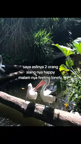 #4u #sadvibes🥀 #sadstory #galaubrutal 