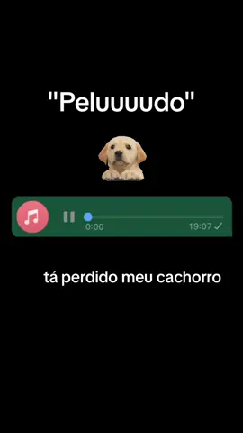 Meu cachorro #audios #audiosparatiktok #cachorro #fy #fyp #foryou 