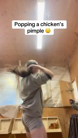 Bursting a huge pimple on a chicken 😵‍💫🐥#satisfying #satisfyingvideo #chicken 