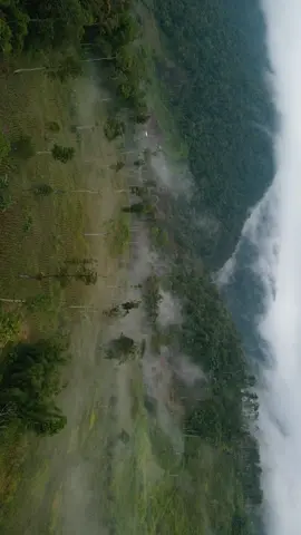 Cinematic Vibe🎥🇵🇭 #dji #drone #cinematic #philippinestiktok 