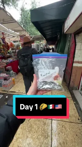 I’m carrying a taco for 30 days🌮🤣 (🇲🇽->🇺🇸)