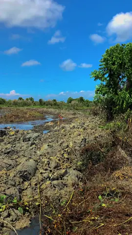 Muita Tu Dek,,Tengasso Panas Panas,,Hujan Hujan Bosi Bosi,,Hantam Semua