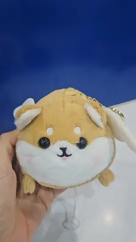 น้องน่ารัก... มาF กันนะคะ