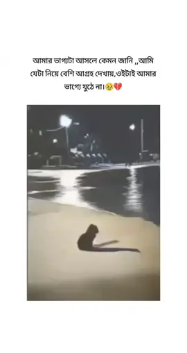 #🥹💔 #viral #foryou #foryoupage #viralvideo #bdtiktokofficial #unfrezzmyaccount 🙏🏻