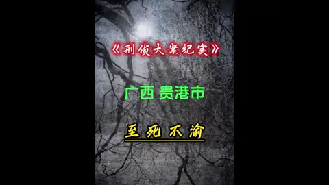 广西大案：家具厂女老板的绝命婚外情#大案纪实#案件 #中国 #大案 #大案纪实 