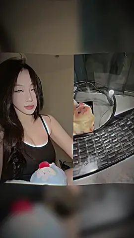 #3Chai #rẻ hơn nha 👀✨ #thỏ #edit #fyb #xuhuong 