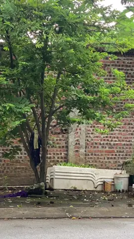 Đúng 5phút là phụt toé loe,,, lớ ngớ vớ em sổng bác nào thả lông nhông ngoài đường thế 🤪😆