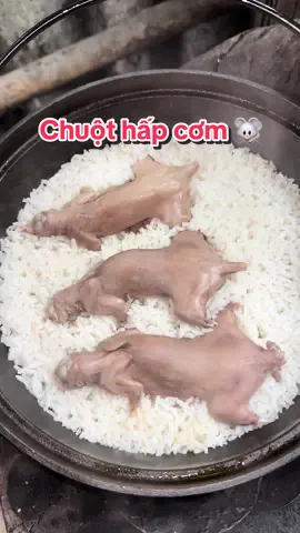 Chuột hấp cơm - món lạ nhưng ngon #cooking #nauanngon #chuộthấpcơm #chuothapcom #thịtchuột #reviewanngon #monngonmoingay #cookingvideos #miêntây #chebietnauan #trannnnnnnnn311 #dcgr 