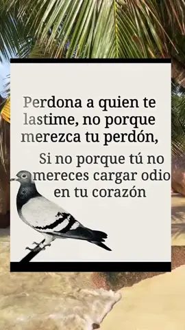 #frases #frases_de_todo #frasesdeamor #frases_aesthetic #frasesquetemueven 