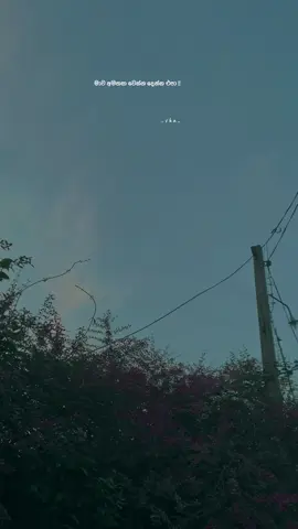 මාව අමතක වෙන්න දෙන්න එපා !! 🫂🤍 #foryou #foryoupage #sinhalaqoutes #sha #shaqoutes #shalinda 