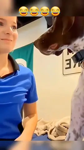 #dog #cat #cute #catvideo #cutcat #funny #pet #funnyvideo #kitty #foryou  #keşfetbeniöneçıkar 