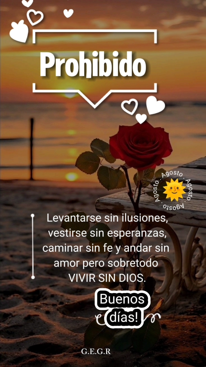 #CapCut #airsupply #prohibido #mensajedehoy #mensajeparati #felizdia #bonitodia #elmundodeladiscapacidadconojosdemujer #adquirirunadiscapacidad♿ #personascondiscapacidad 