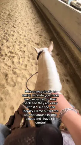 🤨🤨🤨 #blowthisup #equestrian #quarterhorse #reining #horse #horses 