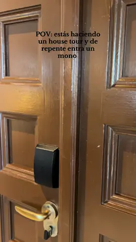 #housetour #zanzibar #mono #fyp #parati 