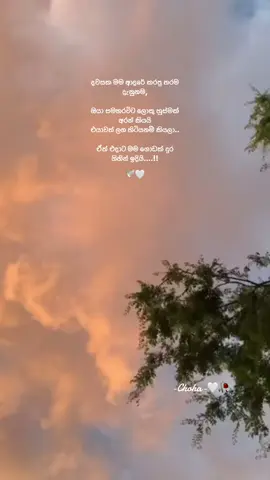 හ්ම්ම්ම්..🙂#WhitheHeart🤍 #chohasdiary #sinhalaquotes #foryoupag #onemillionaudition #trending_video #viwes #srilanka #viral #foryou #Love #lovestory #memories #brokenheart💔 #pain #sadfeeling #sadquotes 