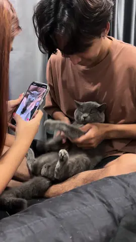 สเตปเทพ#แมว #แมวอ้วน 