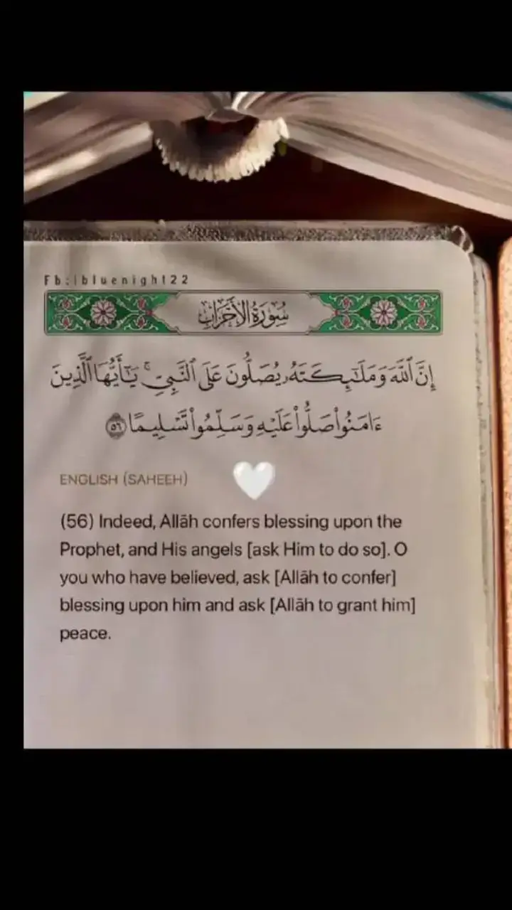 عليه افضل الصلاة والسلام #