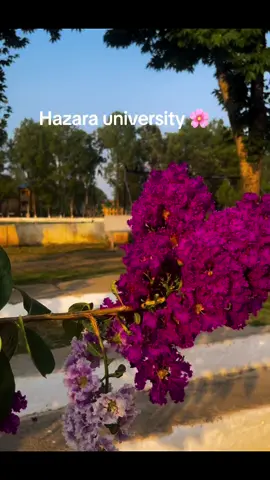 #hazarauniversity #hazarauniversitymansehra #hazara #hazarians #mansehra #fyp #foryoupage #foryoupageofficiall #abbottabad #universityvibes #hazarauniversitymansehra❤ #islamabad #china #india #viralvideo #pakistan #arijitsingh #arijitsinghsong #atifaslam 