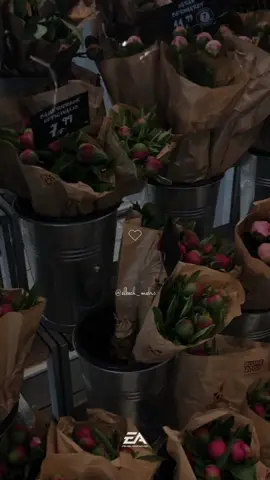 الدعوة دي ليكي انتي 😊🤍 #يحي_البحيري #دعاء 